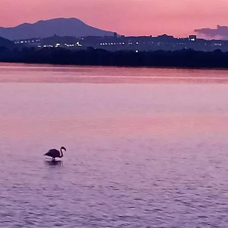 Cagliari Alc * Куарту-Сант'Элена